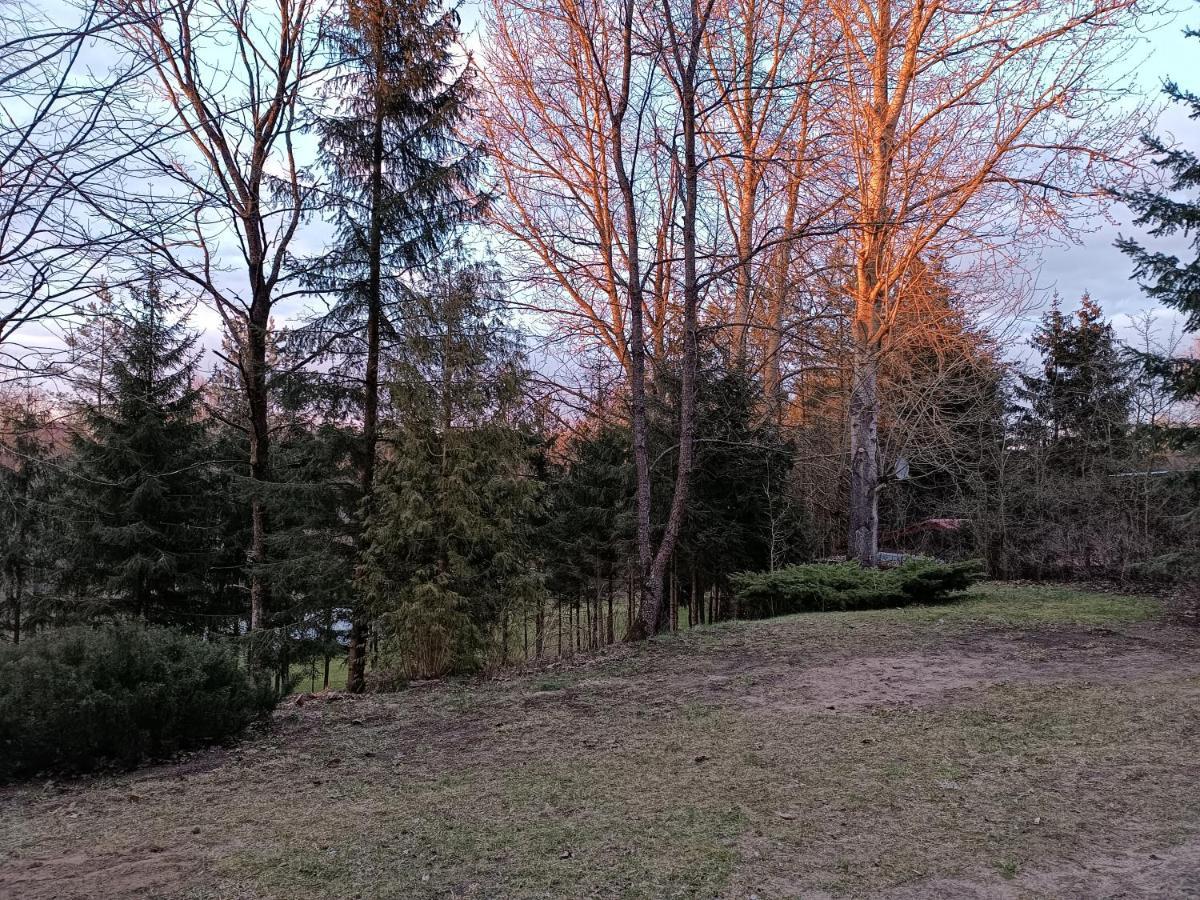 Rykowisko - Domki Caloroczne Nad Jeziorem I Rzeka Szczecinek Exterior foto